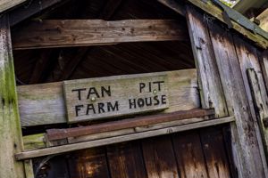 Photo 32- click for photo gallery